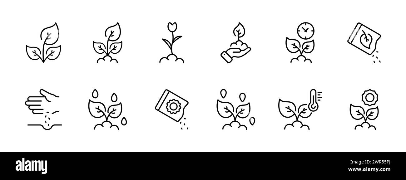 Plants set icon. Plant and its transmission, sprout, flower, waiting for growth, seeds, sowing, watering, lighting, temperature. Agricultural business Stock Vector