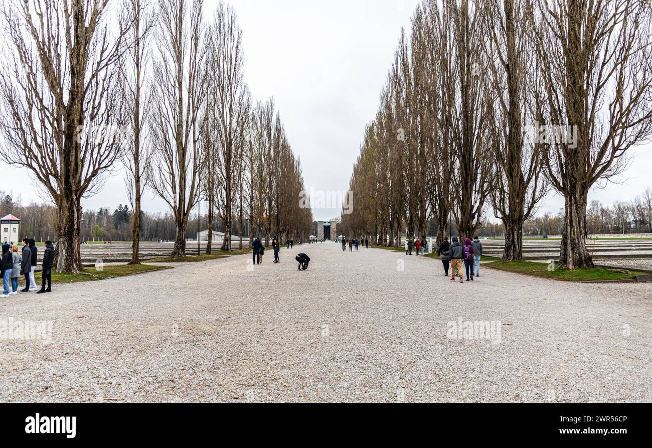 Blick in die Lagerstrasse mit der Baumallee. Links und rechts sind die Fundamenete der ehemaligen Lagerbaracken. Das Konzentrationslager Dachau ist he Stock Photo