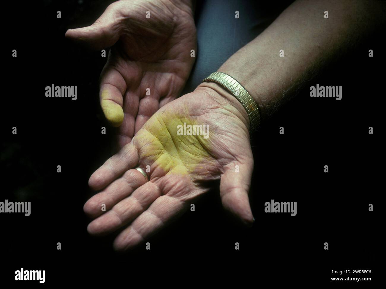 Retired uranium miner holds uranium (yellow cake) in his hand in his