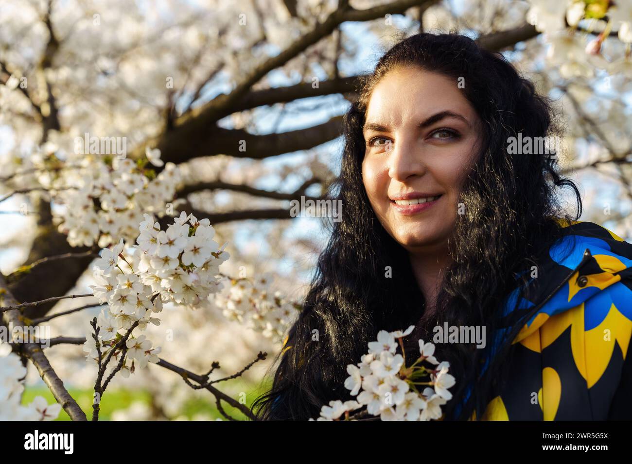 Attractive young brunette woman with long hair smiling in spring in blooming cherry blossom garden Stock Photo