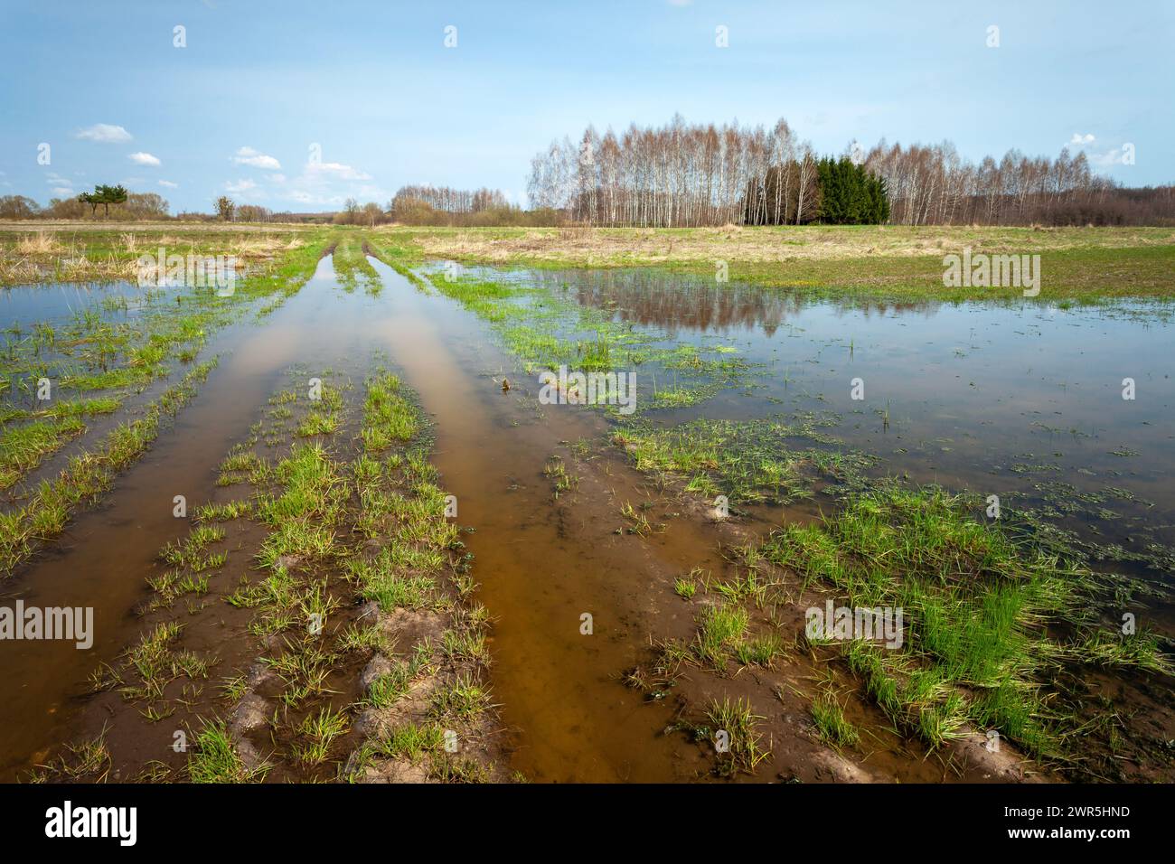 Flooded dirt road and fields, April day, Zarzecze, Poland Stock Photo
