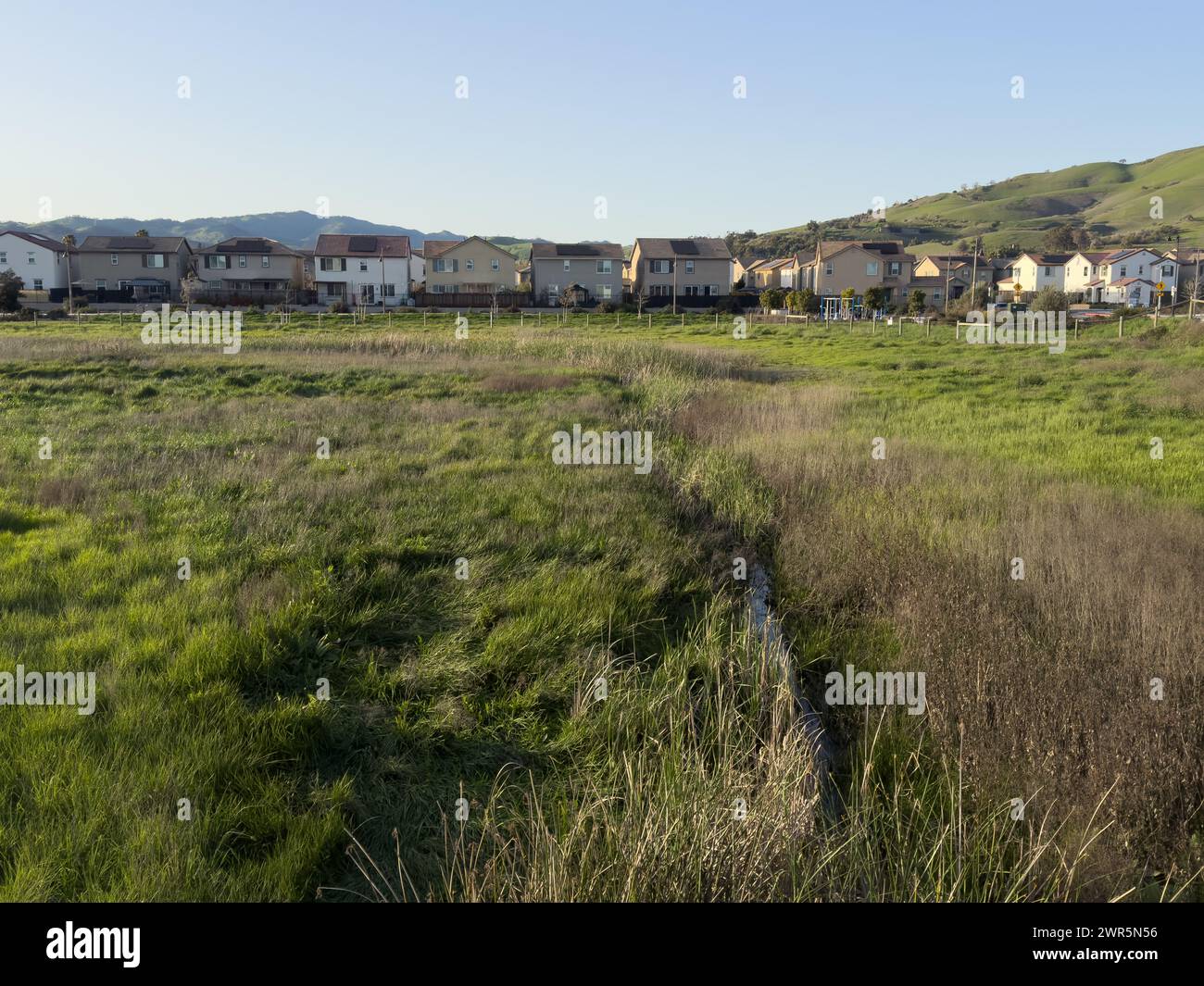 An open field with tall grass and houses in the distance Stock Photo