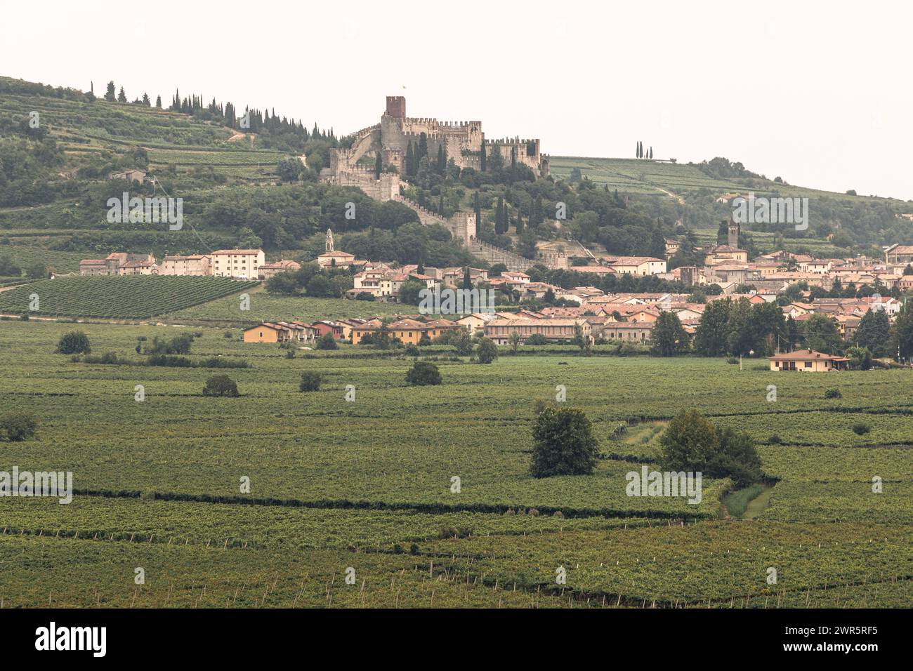 panoramic view of the Venetian vineyards, the Soave castle in the background Stock Photo