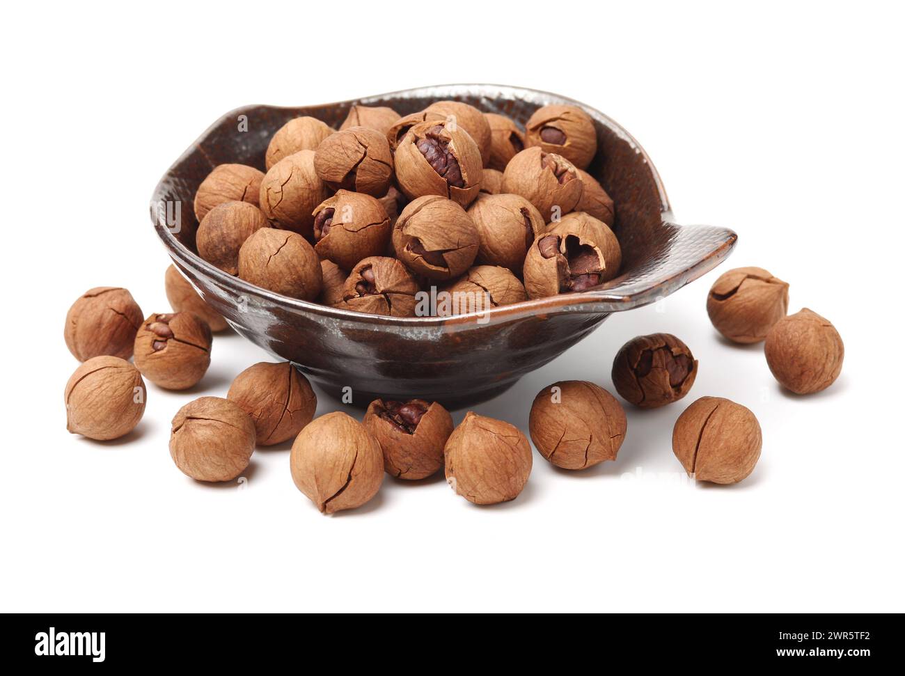 shagbark hickory nuts on white background Stock Photo