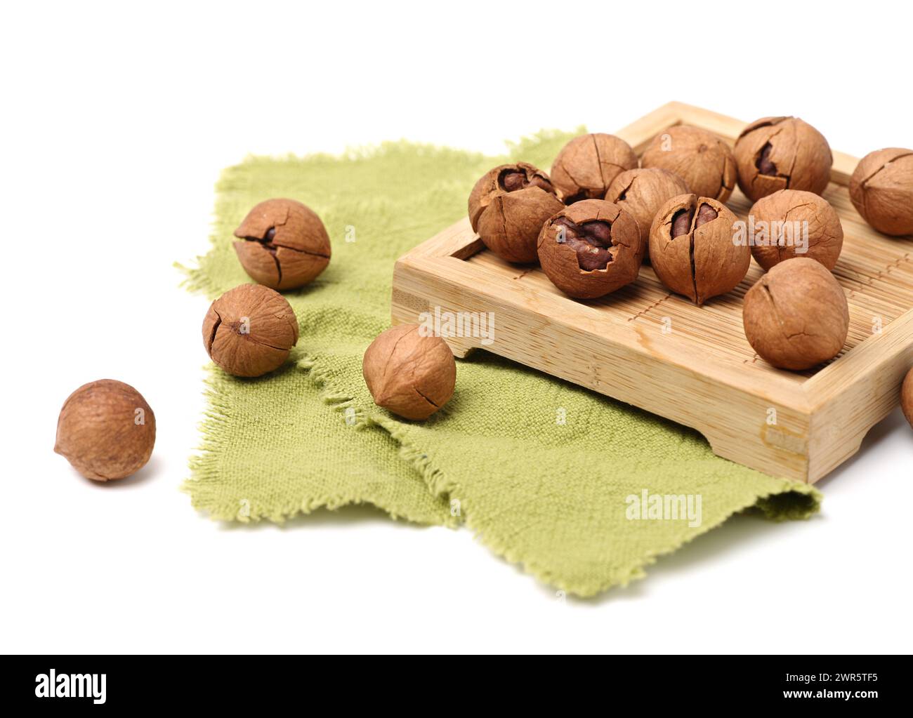 shagbark hickory nuts on white background Stock Photo
