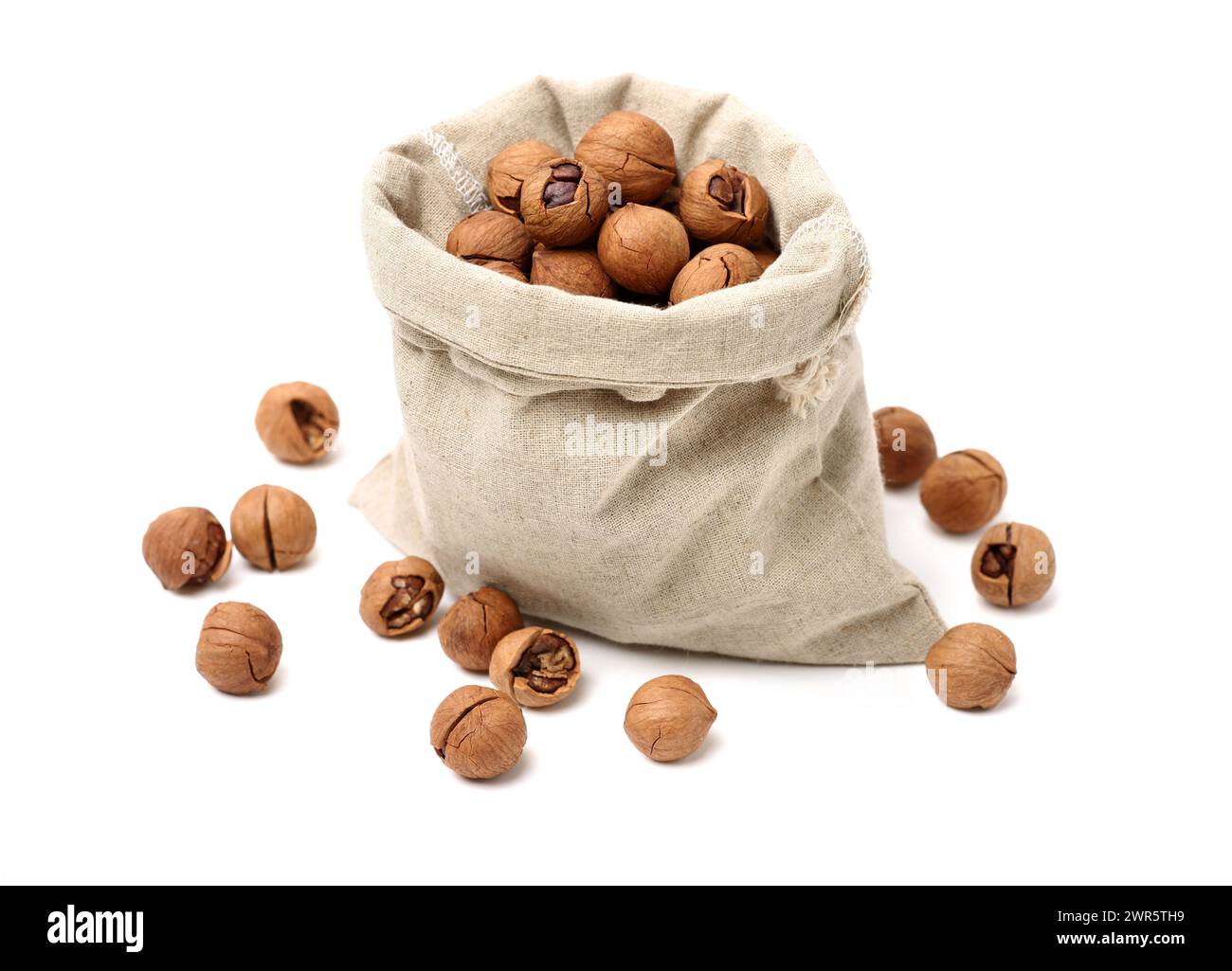 shagbark hickory nuts on white background Stock Photo