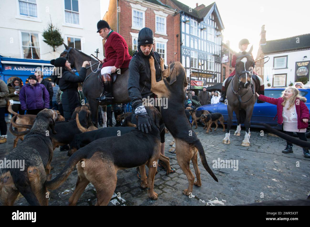 The four shires bloodhounds hires stock photography and images Alamy