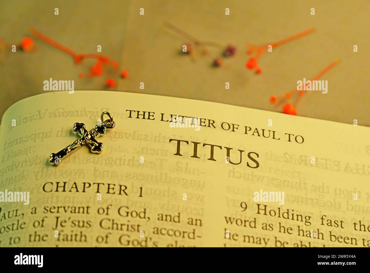 Open Holybile Book Index The letter of paul to Titus for background