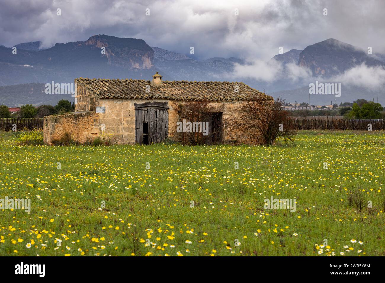 Old traditional stony barn on a flowering pasture in front of the Serra de Tramuntana mountain range in Majorca, Mallorca, Balearic Islands, Spain, Eu Stock Photo