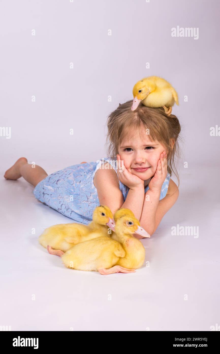 Girl in studio Lying With easter Ducklings Stock Photo