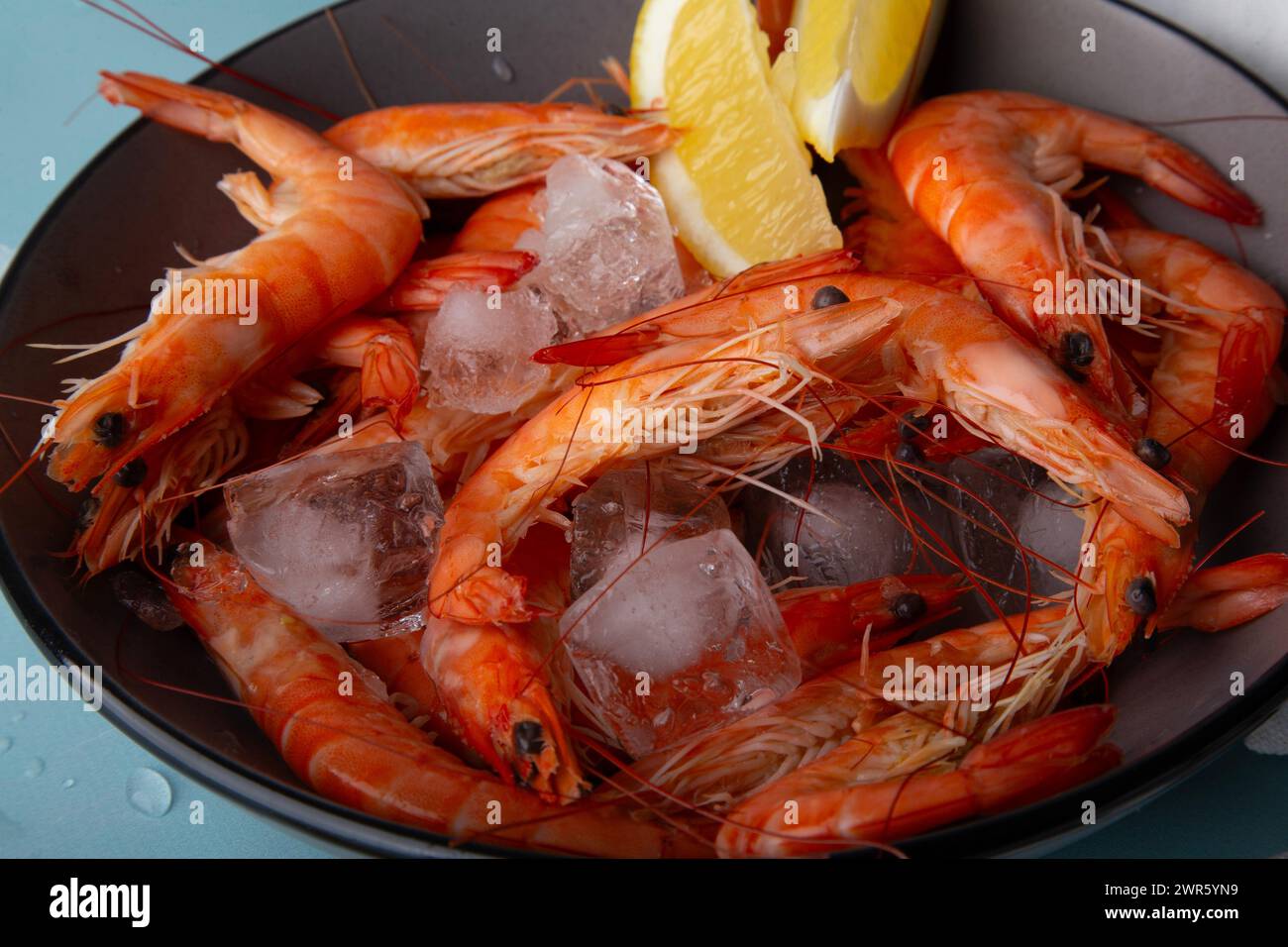 Cooked prawns on ice, with lemon, summer meal, lifestyle and cooking magazines concept. Stock Photo