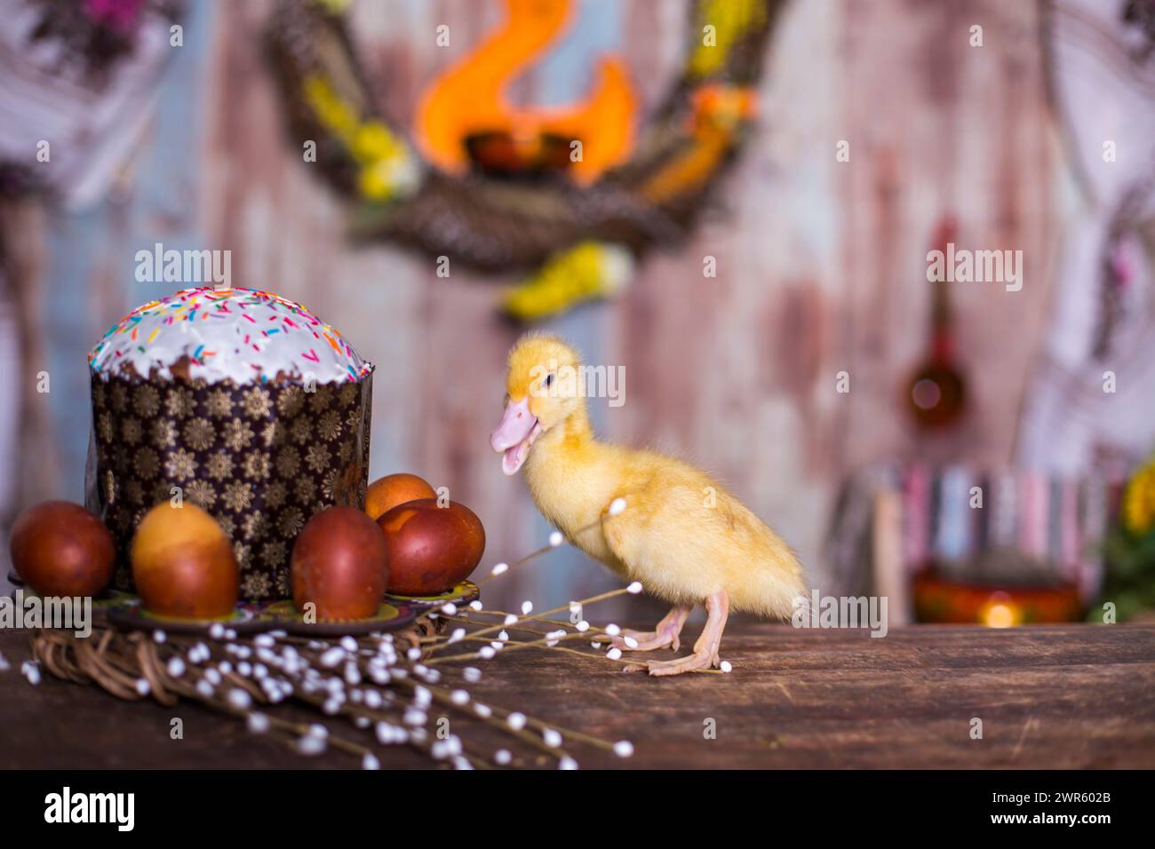Easter decorated interior with colorfull eggs and ducklings Stock Photo