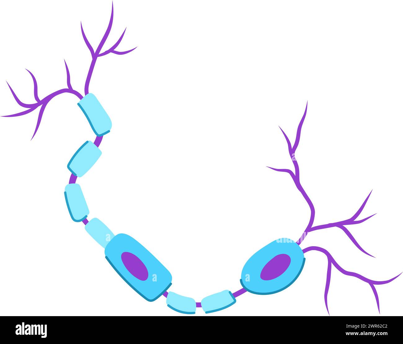neuro neurons cartoon vector illustration Stock Vector Image & Art - Alamy