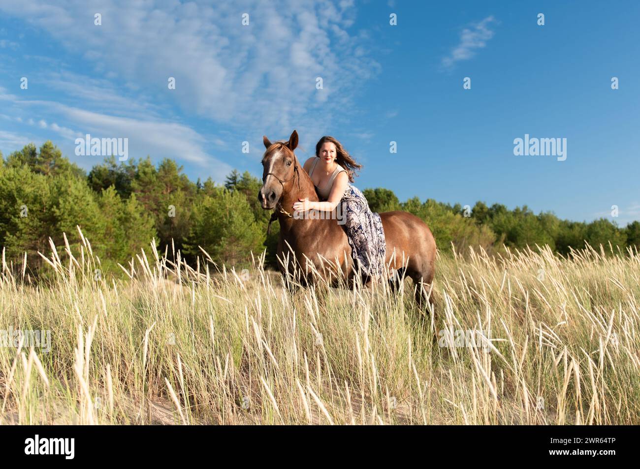 Person Riding House Person riding horse hi-res stock photography and images - Alamy