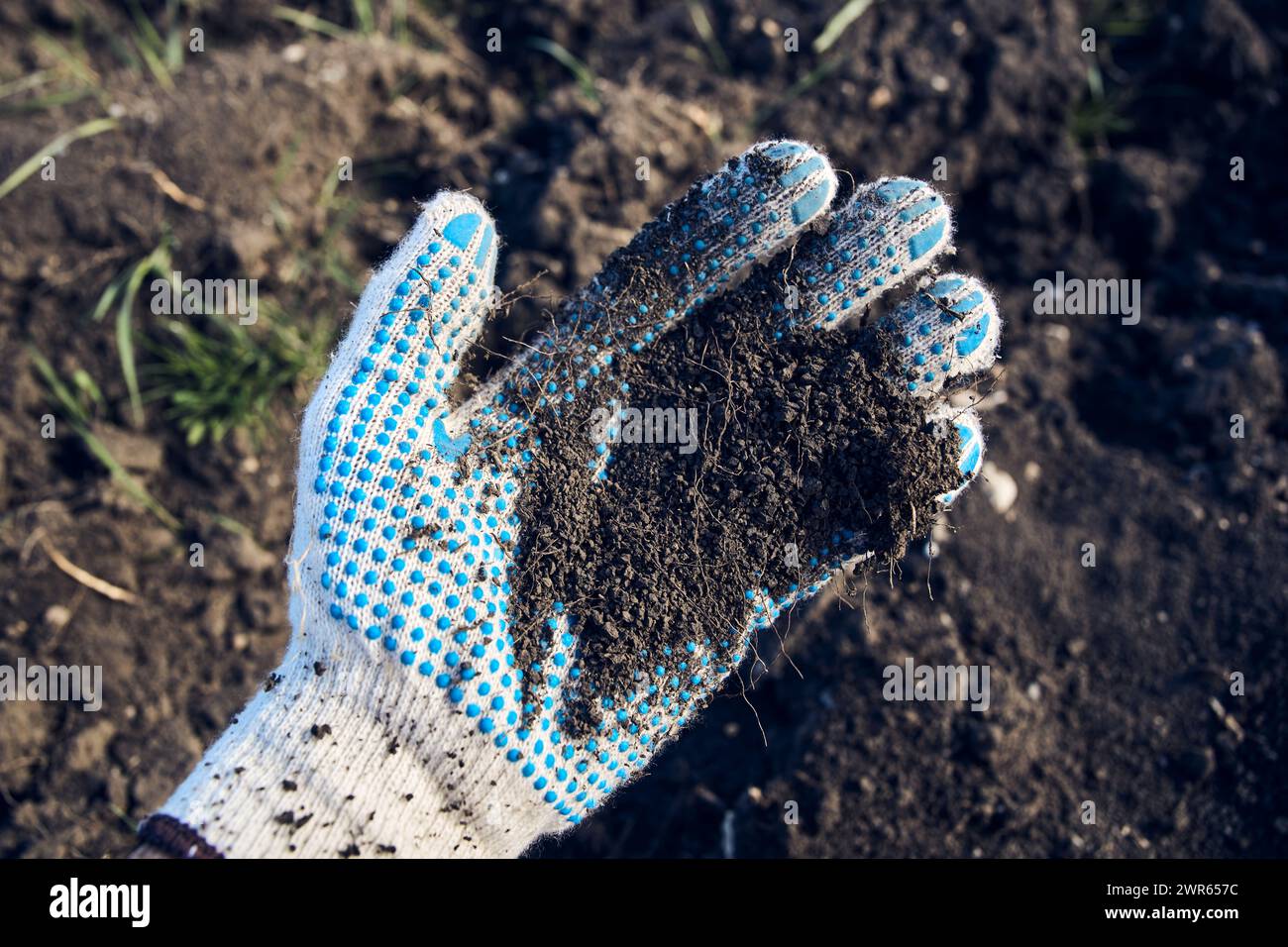 Farmer examining agricultural field soil sample from the palm of his hand, pov image Stock Photo