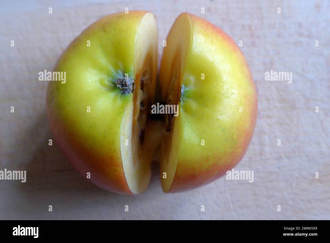 Biologische Mogelpackung: Ein äußerlich fast makelloser Apfel entpuppt sich nach dem Anschneiden als innerlich verfault. *** Biological deceptive packaging An apple that looks almost flawless on the outside turns out to be rotten on the inside after being cut into Stock Photo