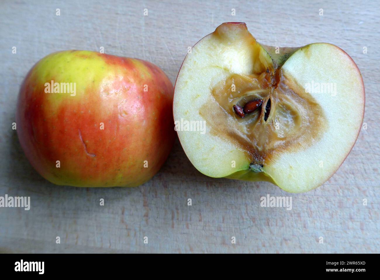 Biologische Mogelpackung: Ein äußerlich fast makelloser Apfel entpuppt sich nach dem Anschneiden als innerlich verfault. *** Biological deceptive packaging An apple that looks almost flawless on the outside turns out to be rotten on the inside after being cut into Stock Photo