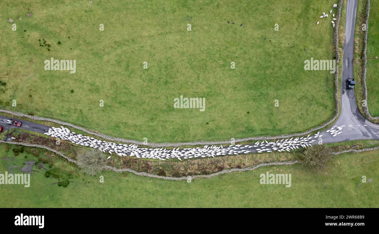 Drone shot of a farmer moving a flock of sheep down a country lane in the Yorkshire Dales Nationasl Park, UK. Stock Photo