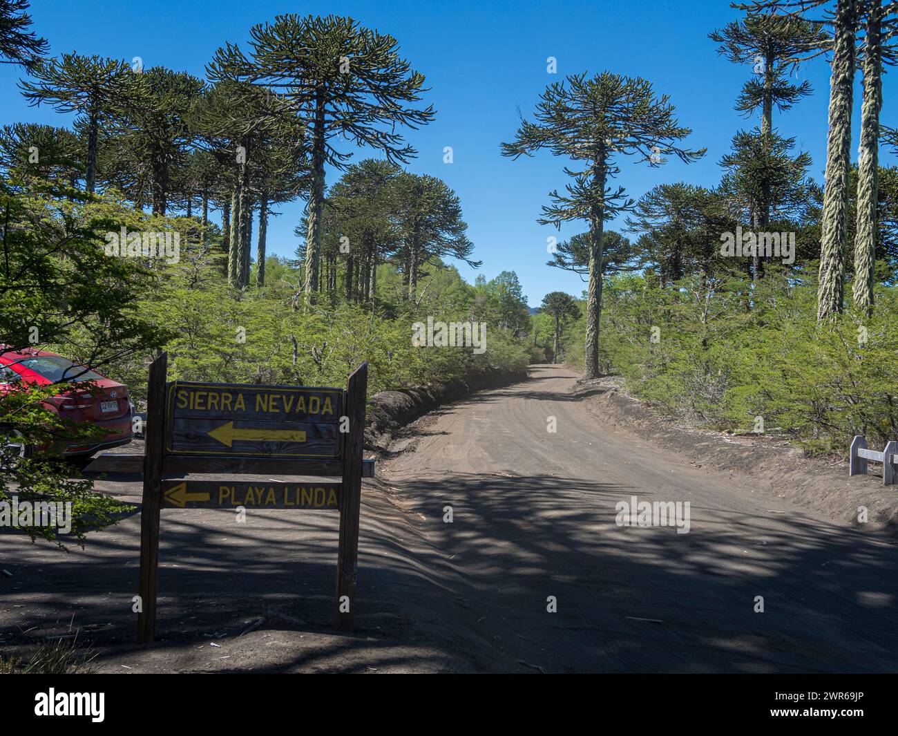 Sendero Nevada Conguillio National Park Hi res Stock Photography And Sendero Nevada Conguillio National Park Hi res Stock Photography And