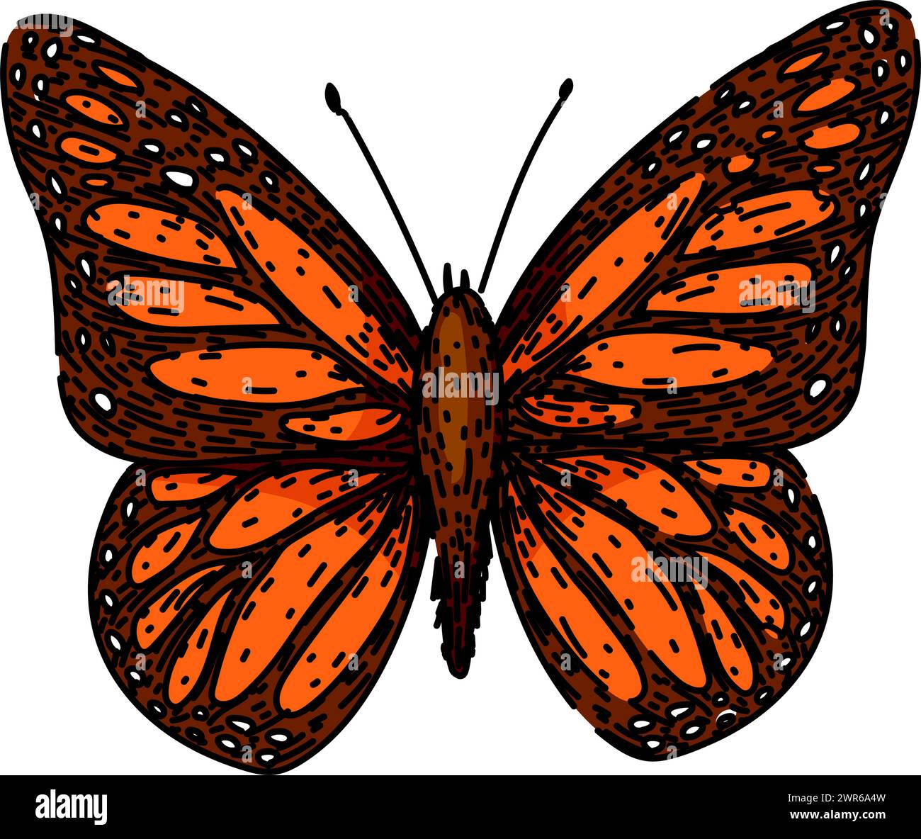 color butterfly sketch hand drawn vector Stock Vector Image & Art - Alamy