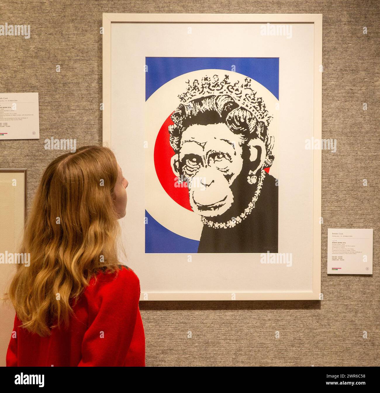 Monkey queen hi-res stock photography and images - Alamy