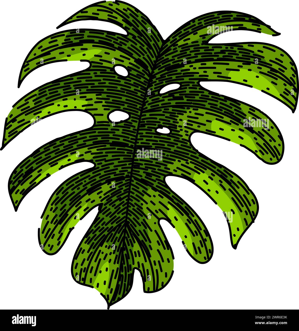 silhouette monstera leaf sketch hand drawn vector Stock Vector Image ...