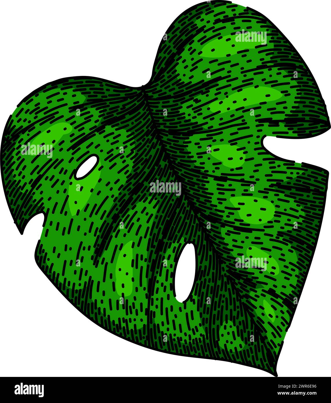 outline monstera leaf sketch hand drawn vector Stock Vector Image & Art ...