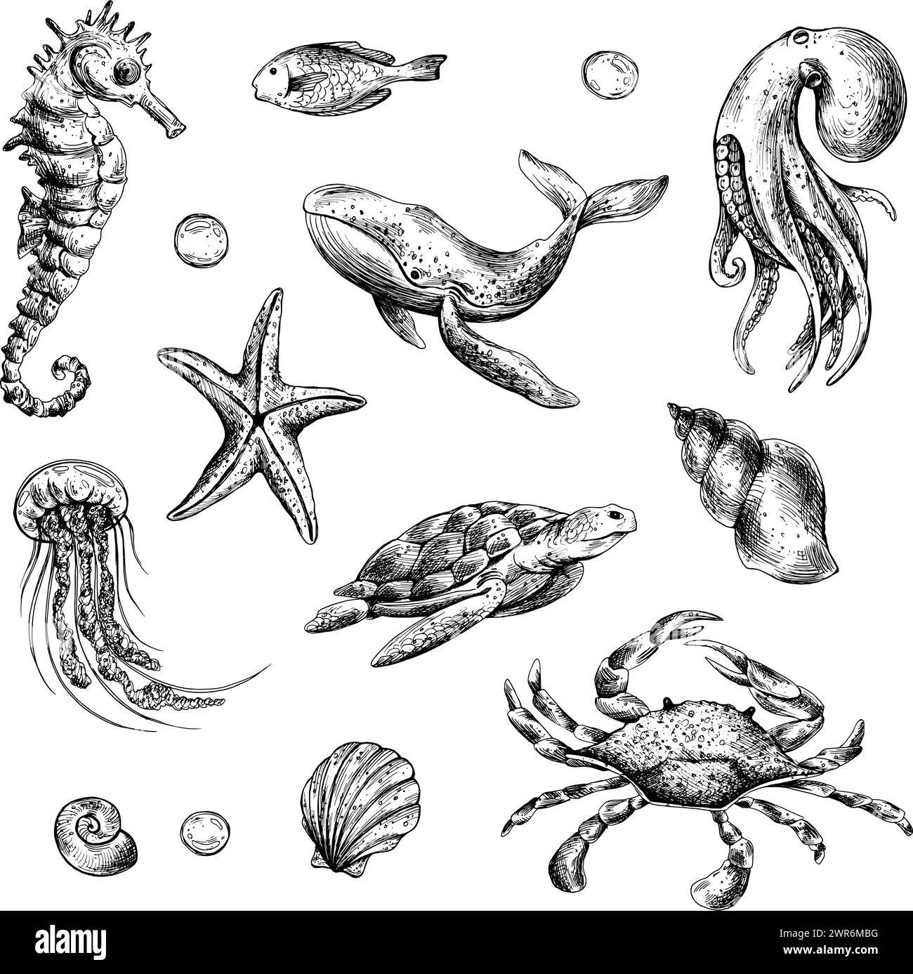 Underwater world clipart with sea animals whale, turtle, octopus, seahorse, starfish, shells, coral and algae. Graphic illustration hand drawn in Stock Vector