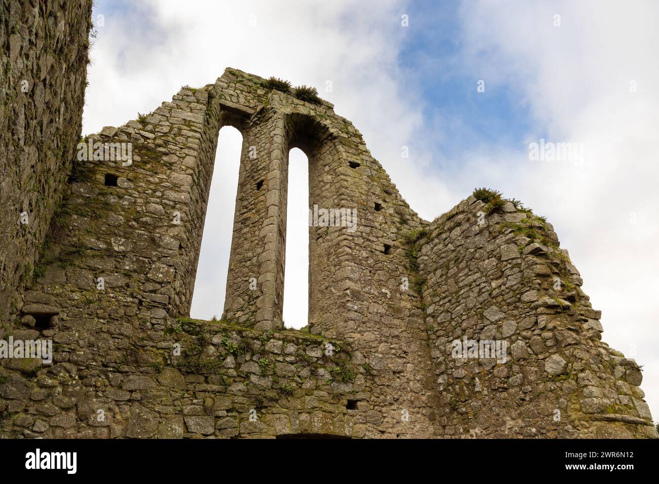 Castledermot Abbey, County Kildare, Ireland Stock Photo