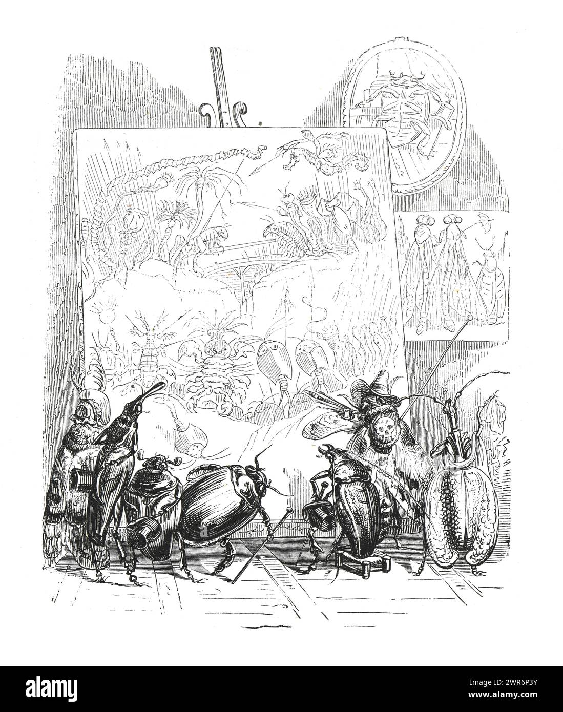 Illustration beetles hi-res stock photography and images - Alamy