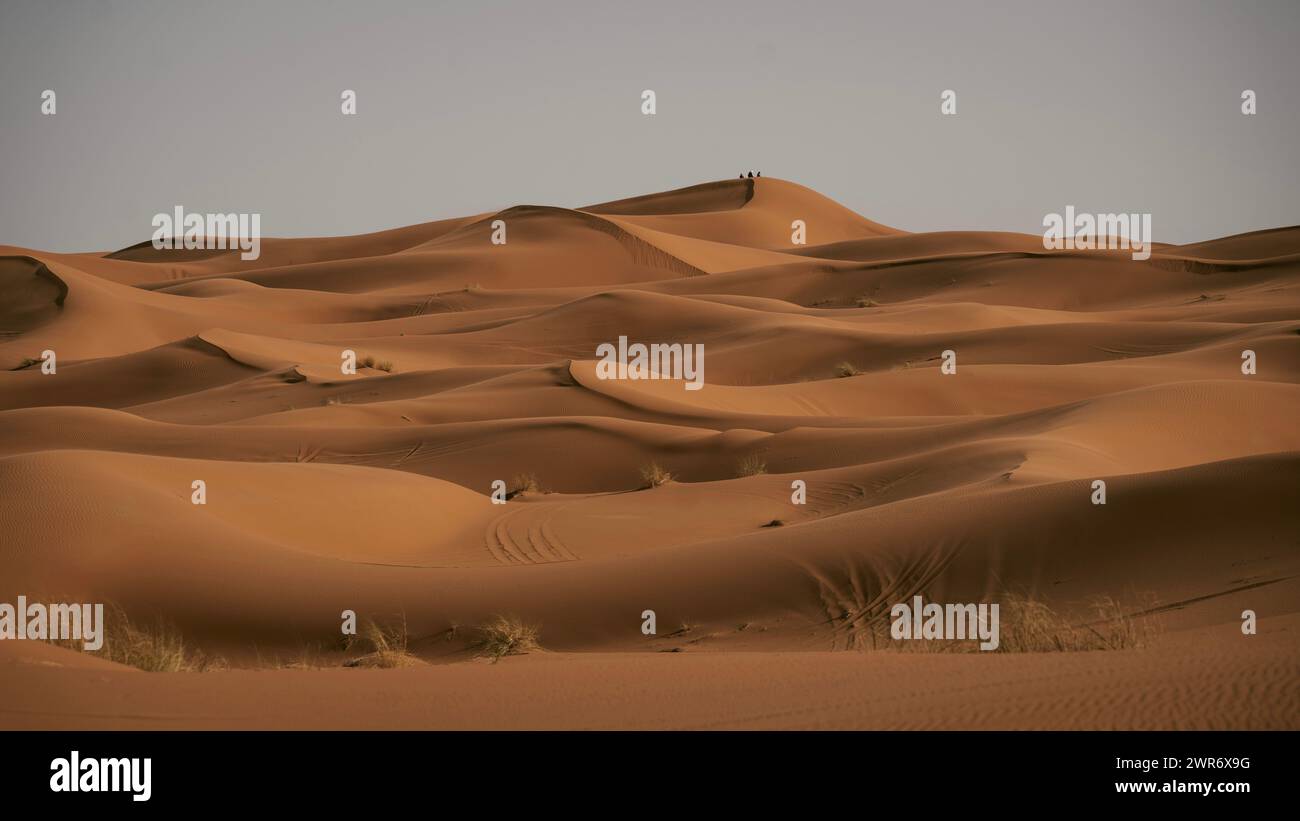 Dune del Deserto di Merzouga, Sahara in Marocco Stock Photo
