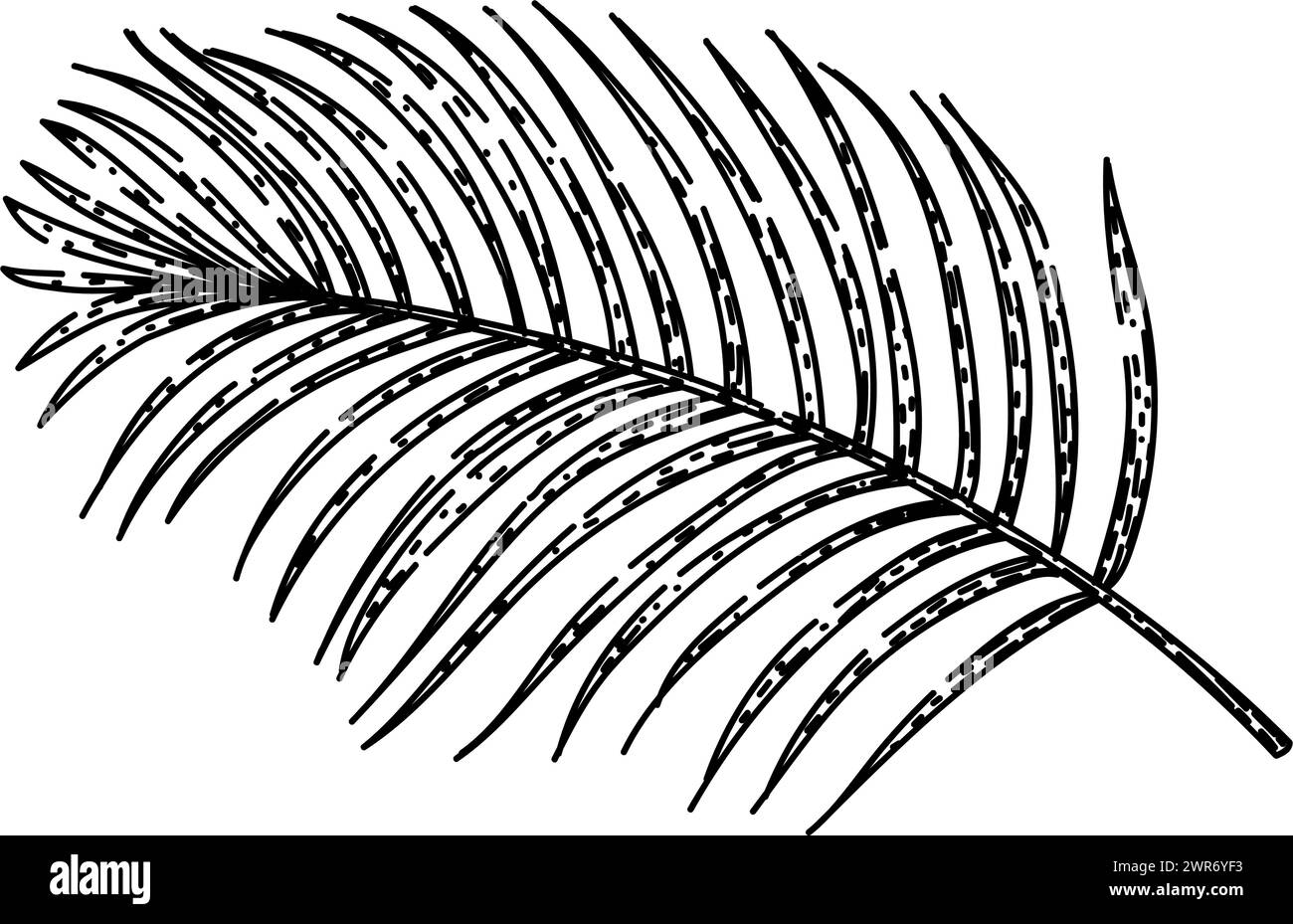 coconut tropical leaf sketch hand drawn vector Stock Vector Image & Art ...