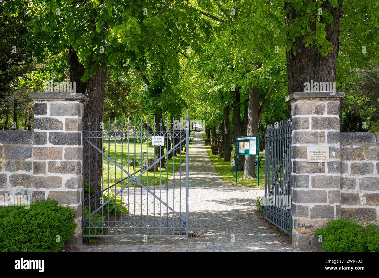 geöffnetes Tor zum Trinitatisfriedhof mit Lindenallee, Riesa, Sachsen, Deutschland *** Open gate to the Trinitatisfriedhof with Lindenallee, Riesa, Sa Stock Photo