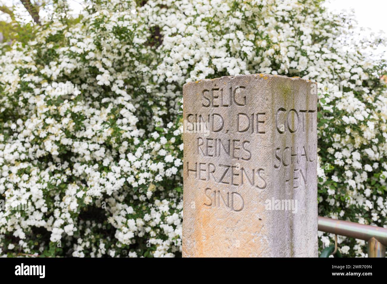 Bibelvers in Sandstein geschrieben, Selig sind, die reines Herzens sind, denn sie werden Gott schauen, auf dem Trinitatisfriedhof in Riesa, Sachsen, D Stock Photo