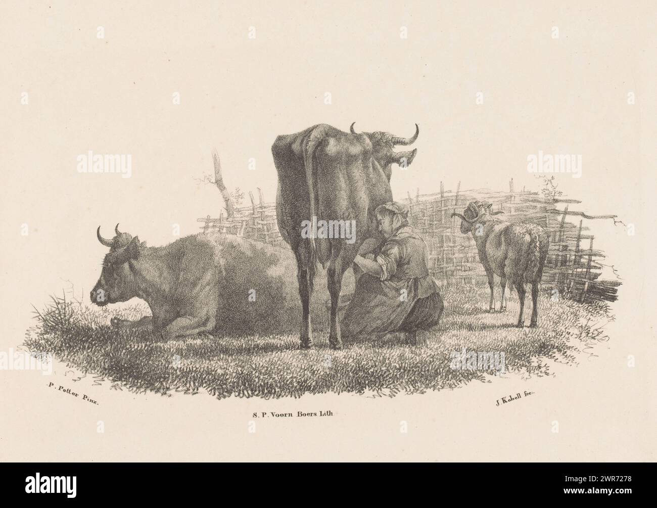 Milking farmer's wife, two cows and a ram, Animal Studies by J. Kobell after Paul Potter No. 1 (series title), The milking farmer's wife sits in the middle with the cow. The other cow is on the ground. Behind them a fence. This print is part of a cover with six separate prints., print maker: Jan Kobell (III), after design by: Paulus Potter, printer: S.P. Voorn Boers, Rotterdam, in or before 1832, paper, height 270 mm × width 370 mm, print Stock Photo