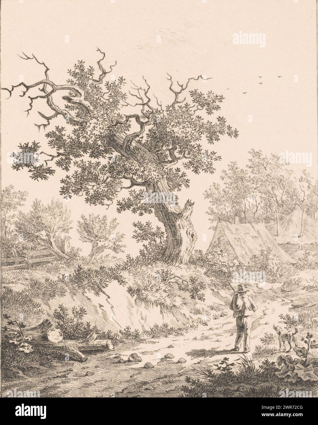 Landscape with man and dog, A man with a duffel bag and a dog walking on a path with an oak tree on the verge. In the background two houses., print maker: Gerrit Adrianus van Oosterhoudt, after own design by: Gerrit Adrianus van Oosterhoudt, Netherlands, 1809 - 1834, paper, height 293 mm × width 241 mm, print Stock Photo