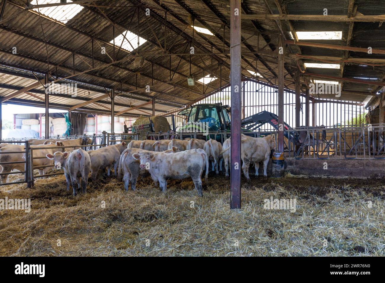 France, Indre et Loire, Mouzay, Yannick Pinon is one of the first