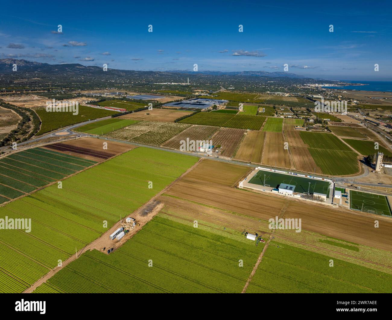 Aerial view of orchard fields near Camarles (Baix Ebre, Tarragona, Catalonia, Spain) ESP: Vista aérea de campos de huerta cerca de Camarles, Tarragona Stock Photo