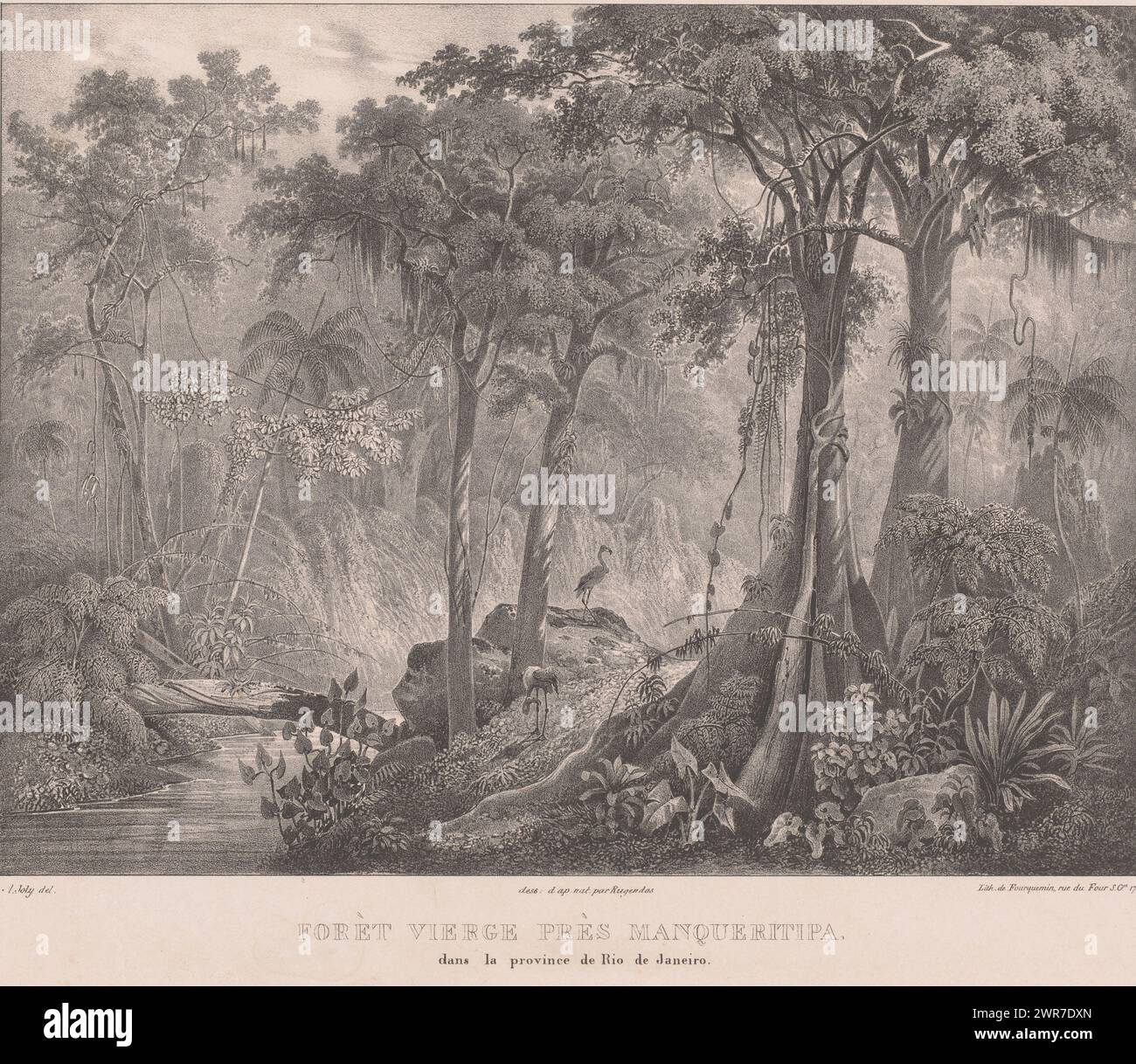 Flamingos in the rainforest near Mangaratiba on the Costa Verde, Forèt vierge près Manqueritipa in the province of Rio de Janeiro (title on object), Picturesque journey through Brazil (series title), Voyage Pittoresque dans le Brésil (series title), print maker: Alexis Victor Joly, after drawing by: Johann Moritz Rugendas, printer: Louis Fourquemin, Paris, c. 1831 - c. 1837, paper, height 355 mm × width 551 mm, print Stock Photo