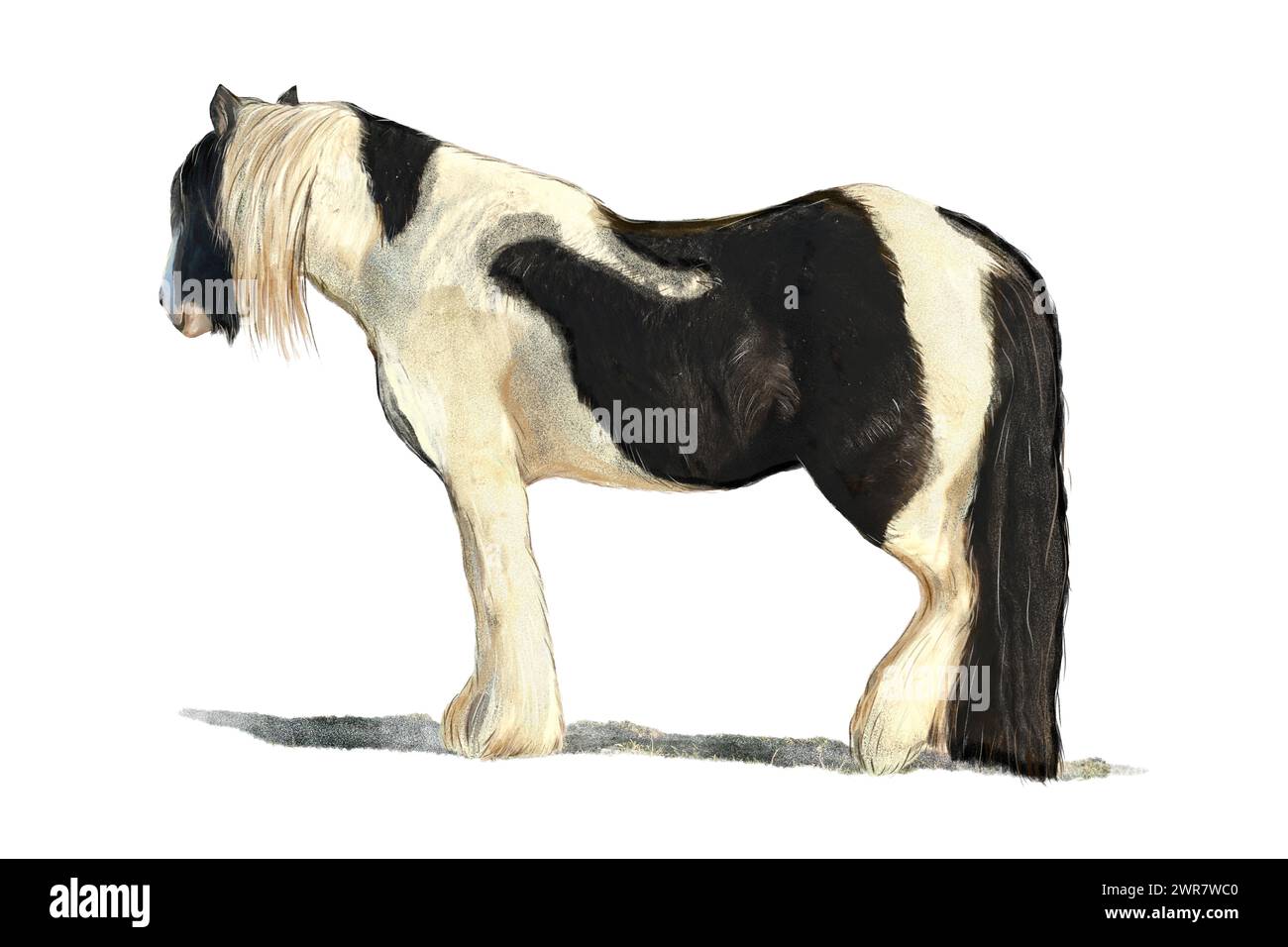 Black and white piebald horse painted in watercolor style Stock Photo