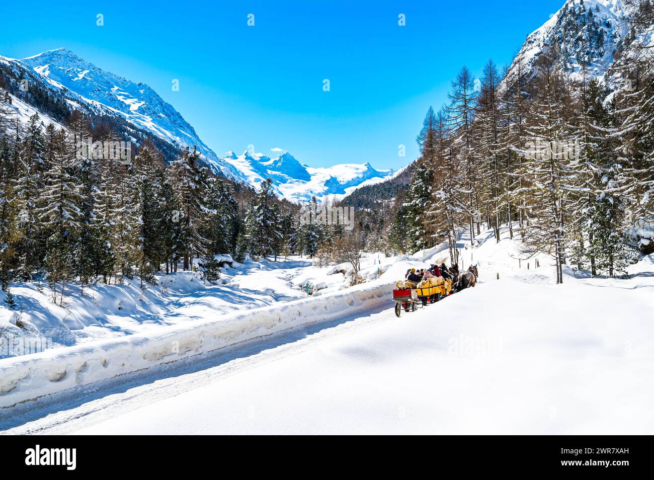 Val Roseg, in Engadine, Switzerland, in winter, with carriages carrying tourists. Stock Photo