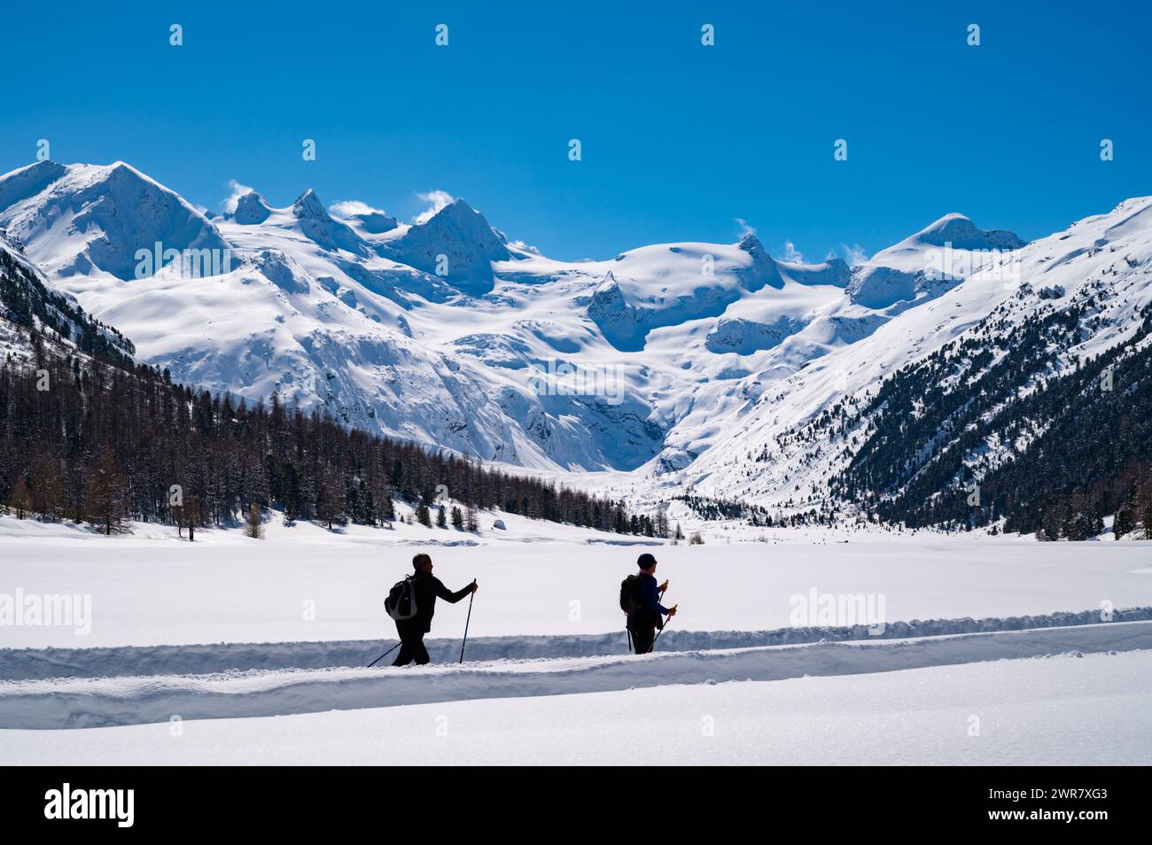 Val Roseg, in Engadine, Switzerland, in winter, with snow-covered cross-country ski slopes. Stock Photo
