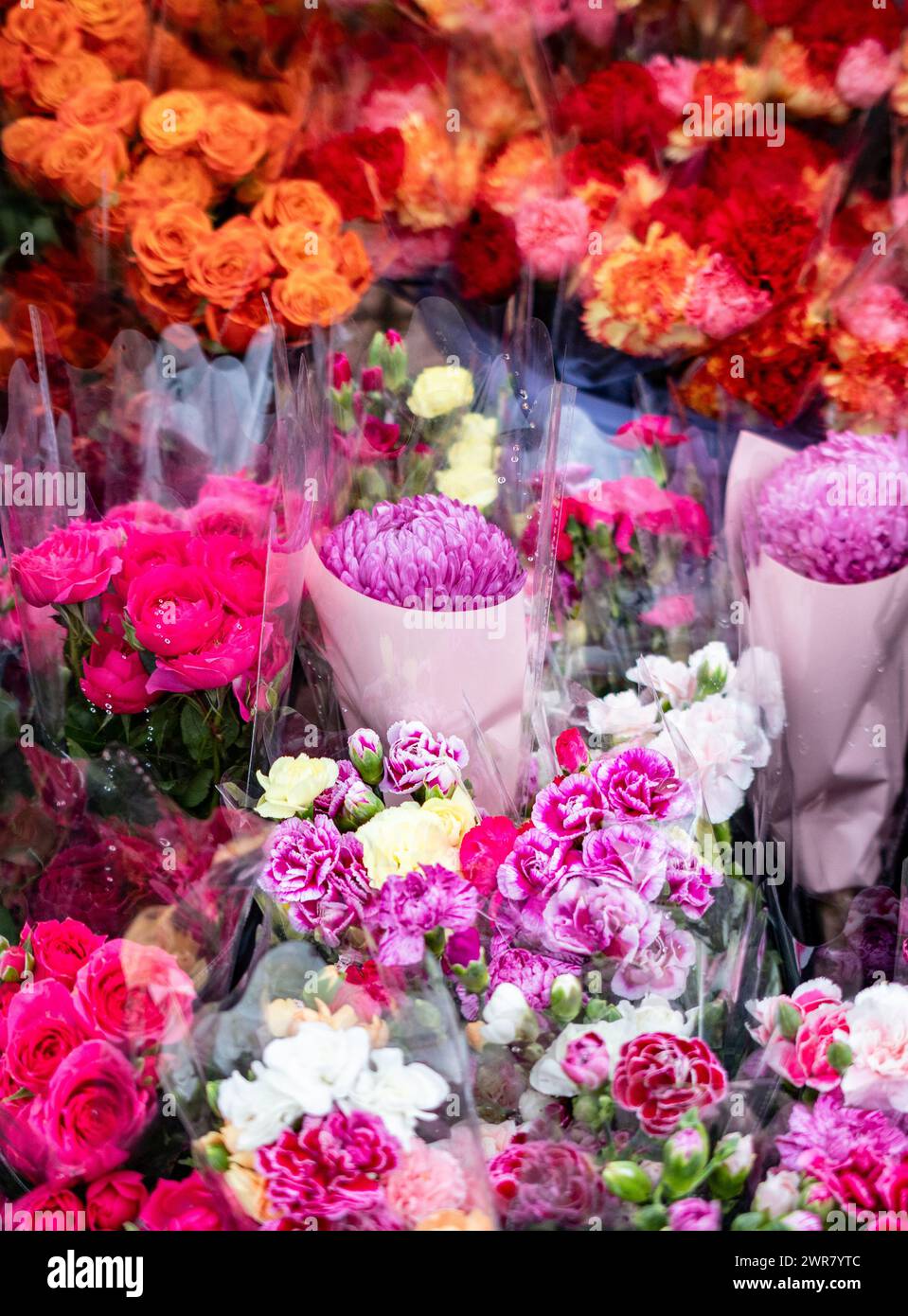 Packaged fresh flowers for sale Stock Photo Alamy