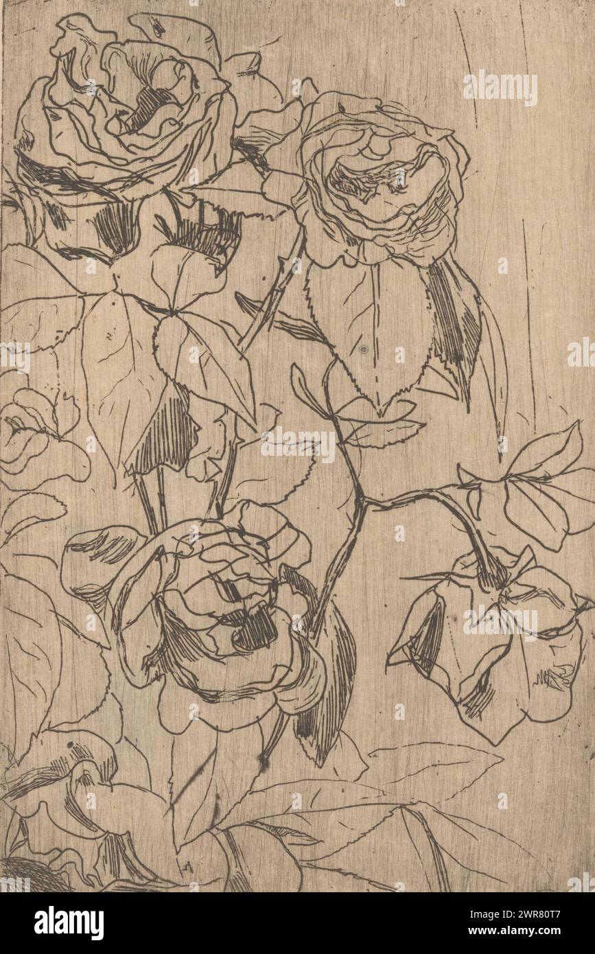 Roses (original title), print maker: Floris Verster, (signed by artist), 1891, paper, etching, drypoint, height 180 mm × width 118 mm, print Stock Photo