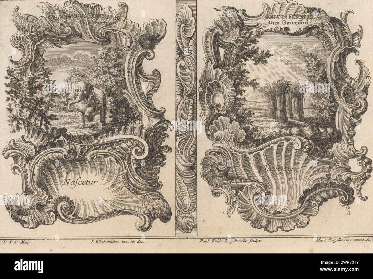 Leonardo Loredano and Johannes Farnese, Symbolic representations of historical figures (series title), Two rocaille frames. On the left an elephant in a forest landscape. Above and below the scene the texts Leonhardus Loredanus Dux Venetiae, Nascetur. On the right four sheaves of wheat in sunbeams. Above and below the performance the texts Iohann Fernesius Dux Gamerini, Flavescent., print maker: Paul Friedrich Engelbrecht, after design by: Jeremias Wachsmuth, publisher: Martin Engelbrecht, Augsburg, 1729 - 1756, paper, etching, height 193 mm × width 302 mm Stock Photo