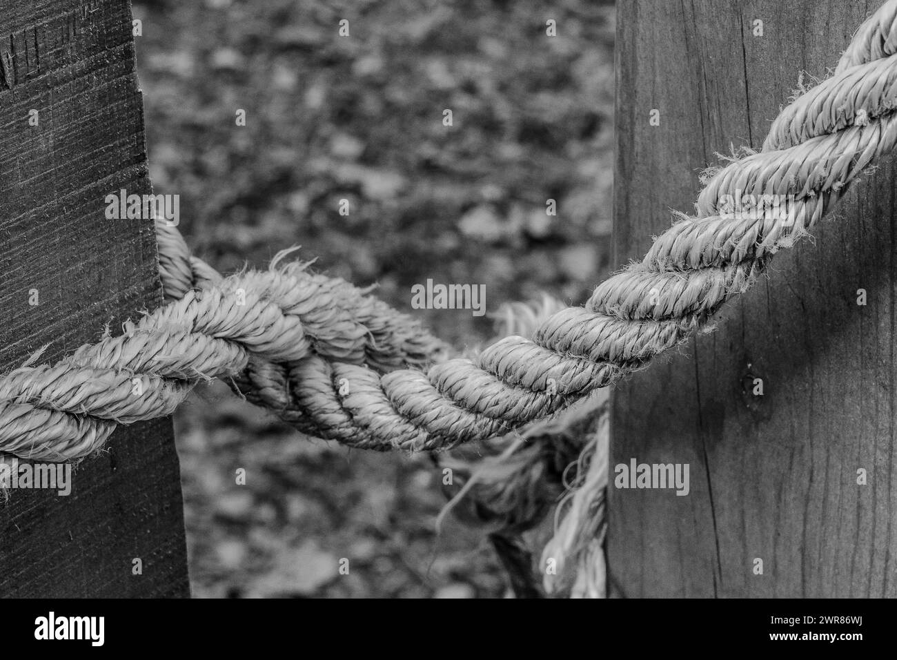Knotted rope holding a country gate closed. Concepts, closed, barred, security, safety, prevention, mental issues, textures. Stock Photo