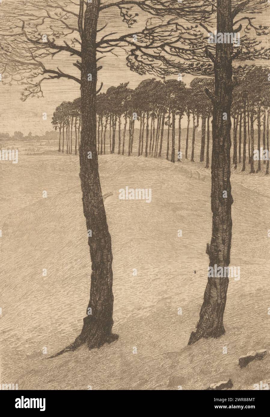 Pine trees in dune landscape, print maker: Maurits van der Valk, 1867 - 1935, paper, etching, drypoint, height 199 mm × width 140 mm, print Stock Photo