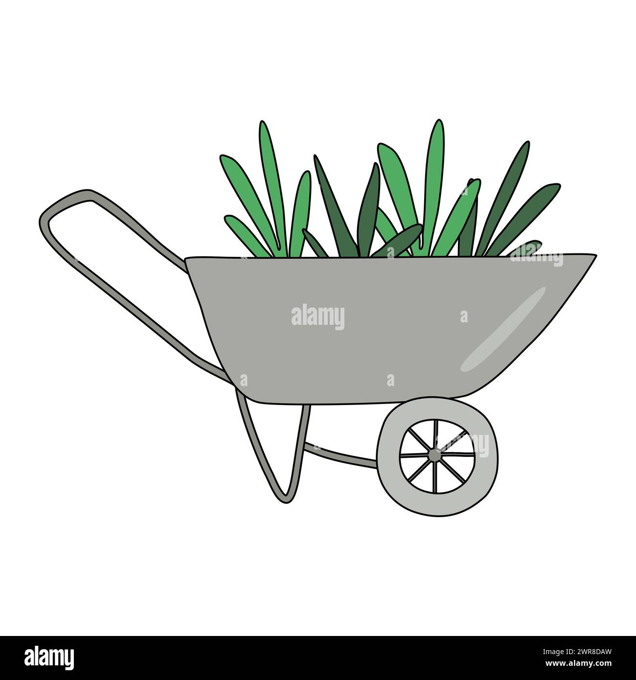 Garden wheelbarrow full of green plants, gardening or springtime design ...