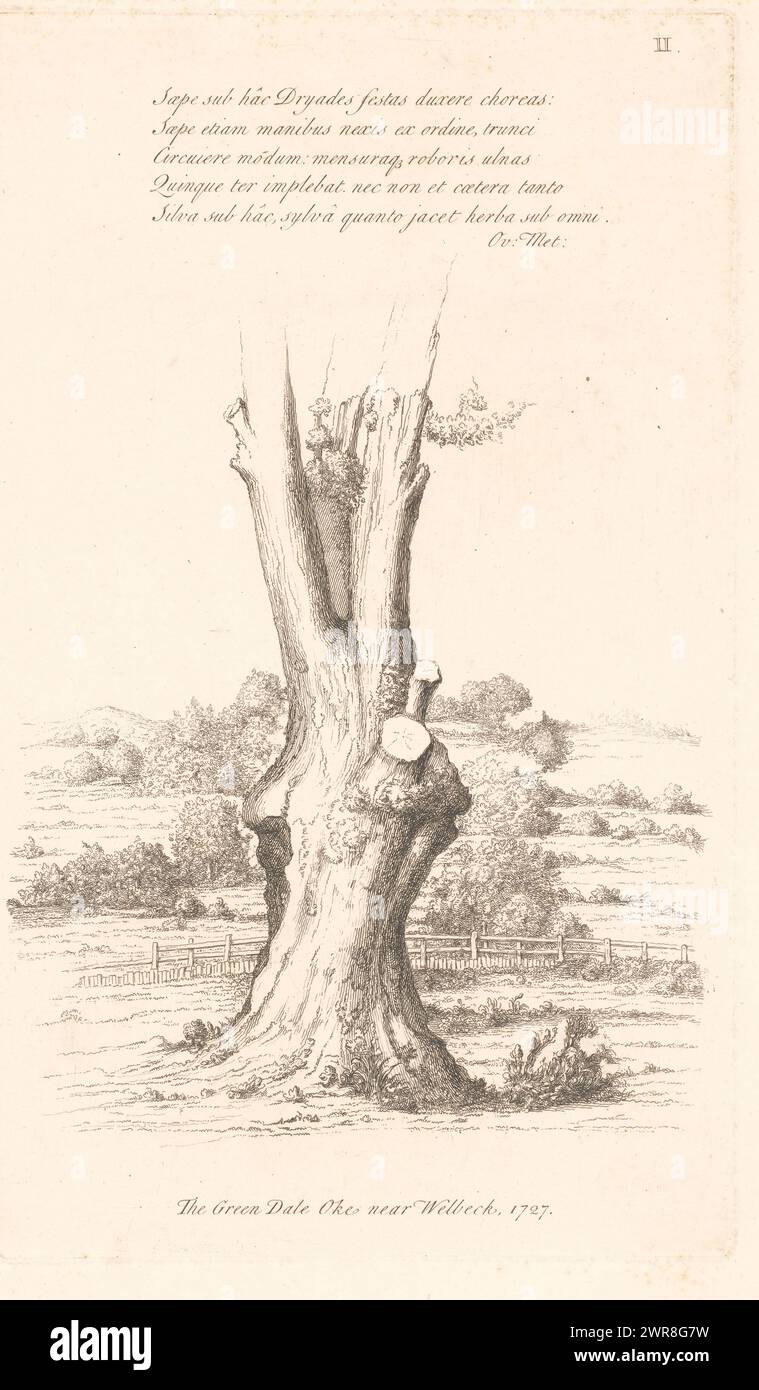 View of the Greendale Oak, The Green Dale Oke near Welbeck, 1727 (title on object), Numbered top right: II., print maker: George Vertue, (possibly), Publius Ovidius Naso, London, 1727, paper, etching, height 360 mm × width 212 mm, print Stock Photo