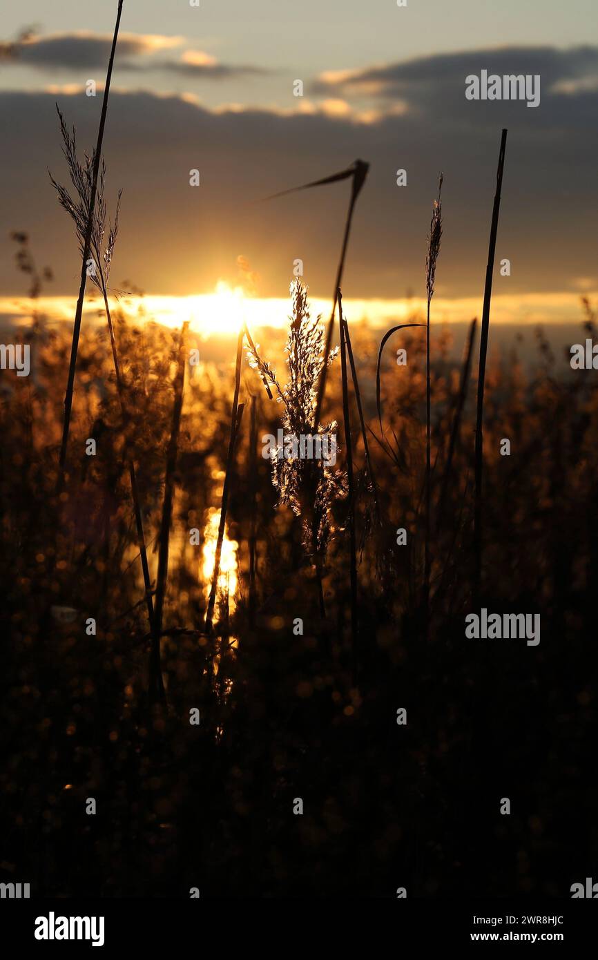 Golden light over lake hi-res stock photography and images - Alamy
